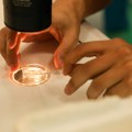 OVOBANK iz Španije i IVF opšta bolnice Avala: Održana edukacija o odmrzavanju jajnih ćelija
