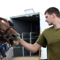 "Jokić kad ode kući baci telefon u reku": Košarkaš ga ne zanima, evo šta Nikola radi na odmoru