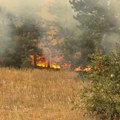 Veliki požar na brdu kod Prisjana! Novinar Nenad Paunović javio se sa lica mesta