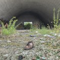 Za ovo mesto niste znali - Posetili smo napušteni stadion na kojem su rolali Tirke i Ivica Bek