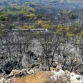 10 Maskiranih lica pokušalo da izazove požar: Užas na brdu Gorica u Podgorici