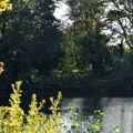 Jezero u centru Beograda! Danas tuda šetate, vozite, a nekada su lovljene patke: Znate li gde je bilo?