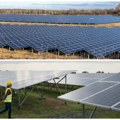 Na 300 hektara, u Sremu će nići najveća solarna elektrana u Srbiji! Radovi počinju ove godine
