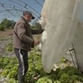 Mašićima je za 15 minuta priroda uništila život: Lomilo i nosilo je sve živo, izgubili su više hiljada evra