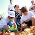 Guske su već tu, stižu i poniji: Mladi uređivali Park prirode Mali Bosut
