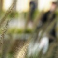 Jutro kišovito, popodne razvedravanje: Najviša dnevna do 30 °C