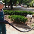 Nikola Jovanović: Beograd nikad zapušteniji, „Zelenilo Beograd“ pred kolapsom