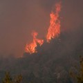 Noćas gorelo nisko rastinje u Novom Sadu: Opasnost od požara zbog visokih temperatura i danas