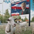 Na današnji dan Demokratska opozicija Srbije pobedila Miloševića