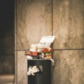 Građani Palića sami očistili deponije, kritikuju “Čistoću i zelenilo” zbog izostanka podrške