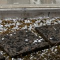 Jako nevreme "razorilo" jug Francuske: Grad veličine sedam centimetara uništio zgrade i automobile
