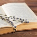 10 najboljih rečenica kojima počinju veliki romani