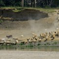 Дунав наставља да опада: Ево где су критично ниски водостаји