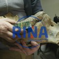 Pravi drške za noževe od zuba mamuta: Saša iz Novih Karlovaca ima neobičan hobi koji je pretočio u posao, njegovi unikatni…