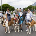 Više od 100 bernardinaca učestvuje na takmičenju pasa u Švajcarskoj