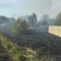 Požar kod Sombora, vatra se širi ka kućama u naselju Čvorak i Rokovcima