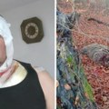 Ovo je lovac koga je napala medvedica Jeziva ispovest: Kao puma se bacila na mene, nisam smeo da promašim
