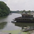 Alarmantno upozorenje za ljubitelje Tamiša: Reka kod Jaše Tomića na korak od istorijskog minimuma Tamiš kod Jaše Tomić