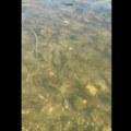 Ukrajinski dron pao na plažu u Rusiji, sedam poginulih, među njima i deca