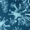 AI je prvi put dizajnirao nove viruse koji ne postoje u prirodi: proboj medicine ili početak ozbiljne bio-bezbednosne dileme?
