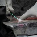 U Lionu zaplenjeno 529 kilograma kokaina, uhapšena dvojica osumnjičenih