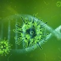 Za sedam dana od korona virusa obolelo 686 osoba od 4.705 testiranih uzoraka