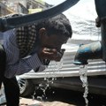 U Indiji i dalje visoke temperature, vlada nestašica vode i za ljude i za životinje