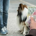 Mnogi imaju pse, a retko ko zna za ova pravila! Mogu da vas kazne i do 20.000 rsd za nešto što radite svaki dan
