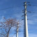 Bez isključenja struje: Odloženi radovi na elektromreži u opštini Golubac