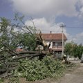 Grad omlatio voćnjake pred samu berbu: Počela prijava štete u Gornjem Milanovcu