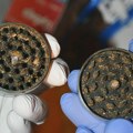 "Pao" diler iz Smedereva: Zaplenjena marihuana FOTO