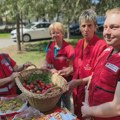 Volonteri Crvenog krsta Zrenjanin obradovali korisnike Sigurne kuće i Prihvatilišta, obrocima i uskršnjim jajima Zrenjanin -…
