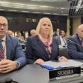 Delegacija Skupštine Srbije pozvala PS NATO da Kosovu ne dodeli status pridruženog člana