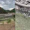 Pretužna slika snimljena kod Majdanpeka: Jezero presušilo, a mrtve ribe ostale da plutaju po mulju (video)