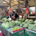 Puna sezona na vojvođanskim poljima i pijacama Seje se pasulj, krompir i luk već posađeni, a rasađuje se bostan evo koliko…