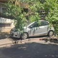 Čitavo drvo se sručilo na automobil: Drama na Karaburmi, vozilo potpuno uništeno: U blizini bilo i dece (foto)
