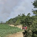 Popović: Svi požari na teritoriji Leskovca ugašeni