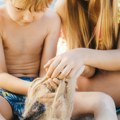 "Idite odmah kod lekara!" mališan iz Srbije dobio neočekivane ospe posle kupanja u moru roditelji dobili odgovor koji ih je…
