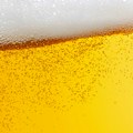 Има ли пиво, заиста, неку здравствену корист: Одговор стручњака на резултате најновије студије