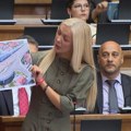 Milošević protiv nove trase pruge kroz Niš: „Potkovice su za životinje, obilaznica za ljude“