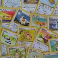 Pokemon karta prodata za 8,4 miliona dolara! FOTO