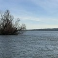 Ministarstvo o kvalitetu vode Dunava: Analizirani parametri kreću se u propisanim granicama