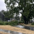 Nevreme stiglo u Srbiju: Požari i polomljeno drveće u Subotici, pljusak u Zrenjaninu, vetar lomio grane