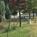 Sabale na Keju! LEAP sve lepši. Prazno granje čeka li čeka! Gradašnička sva u zelenom! Kej se kosi! Njih dvojica krenula na…