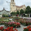 Foto reportaža: „Cvetna pijaca“ na Trgu slobode