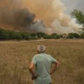 Macut: Nadležni organi prave planove za revitalizaciju Deliblatske peščare nakon požara