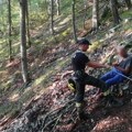 Akcija spasavanja na tari! Izgubio se muškarac: Vatrogasci hitno pojurili u šumu