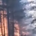 (Видео) Огромна ватра "гута" шуму код Прибоја: Ватрена стихија одмах изнад пруге Београд-Бар, мештани у паници: "Ово је…