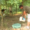 Pojilice za divljač u Babinoj Luci kod Valjeva