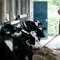 Okrugli sto povodom Nacrta zakona o dobrobiti životinja